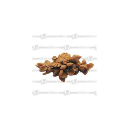 copy of 